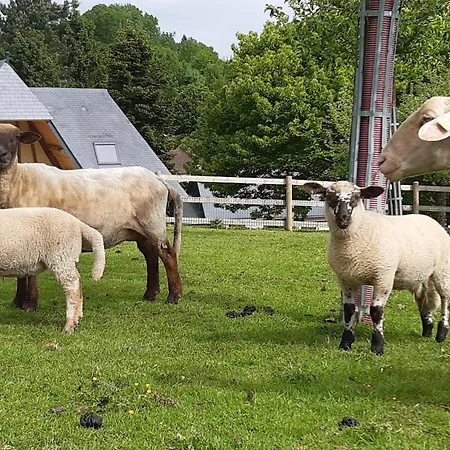 Le Pressoir De Caractere En Normandie